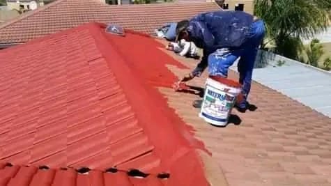 roof painting cape town