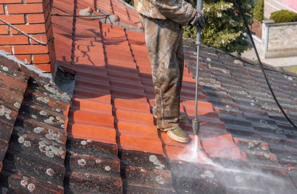 roof-cleaners-cape-town