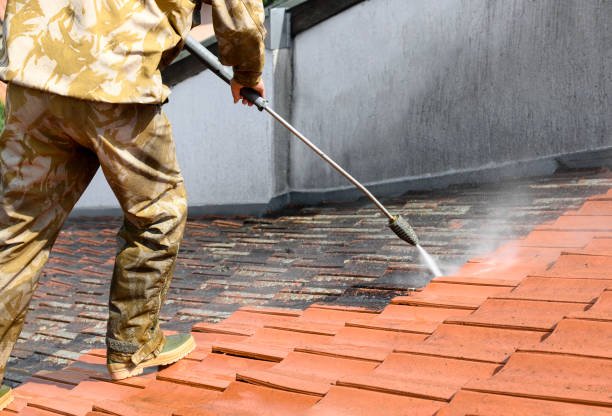 roof-cleaners-cape-town